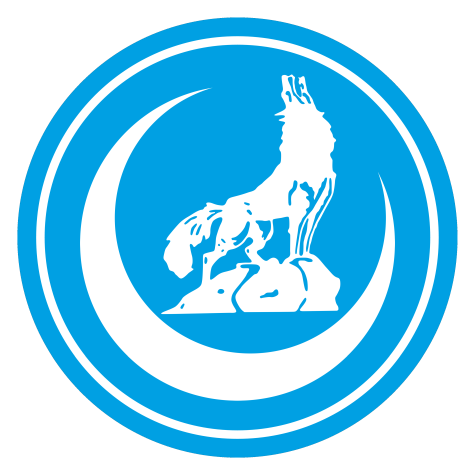 Logo der Ülkücü Bewegung.
