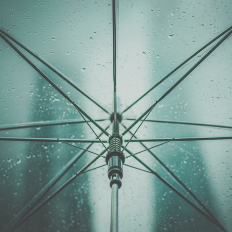Die Aufnahme zeigt den Ausschnitt eines aufgespannten Regenschirms, der vor Regen schützt