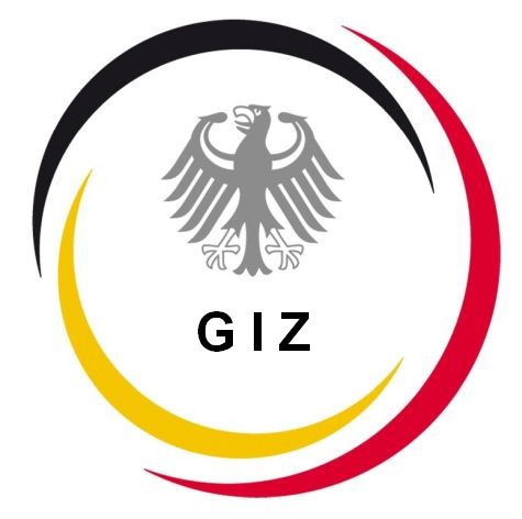 Das Logo des GIZ.